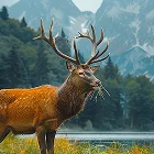 Étude d'impact environnemental et social